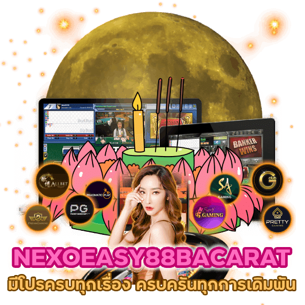 มีโปรครบทุกเรื่อง